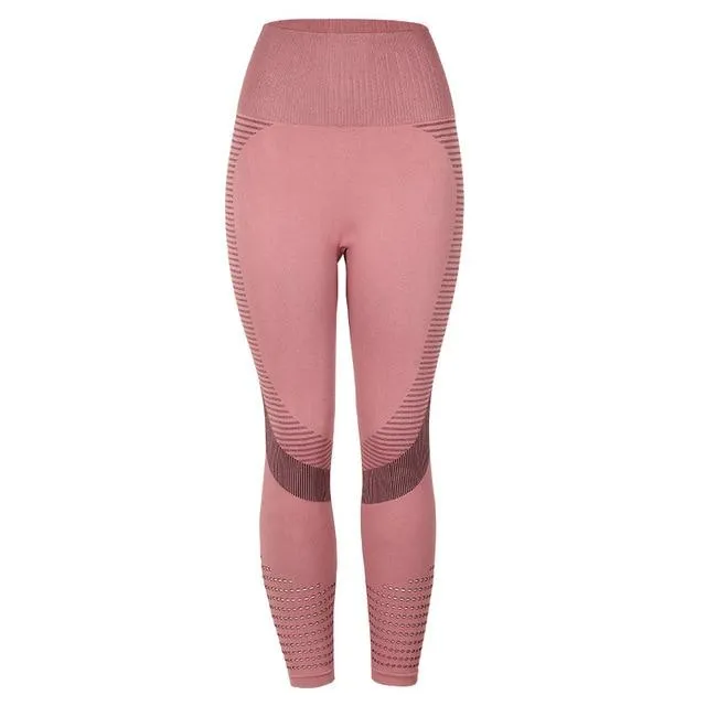 Knit Sculpting High-Rise Push Up Legging