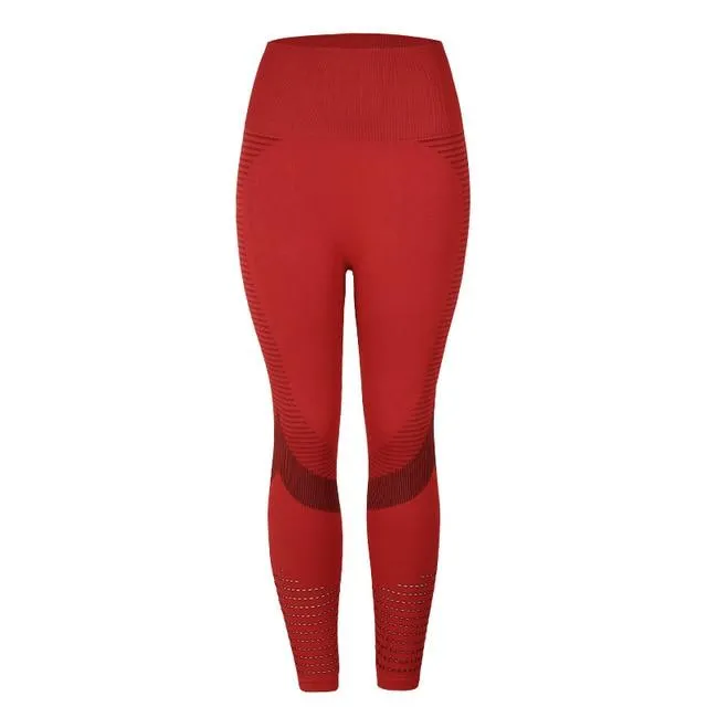 Knit Sculpting High-Rise Push Up Legging